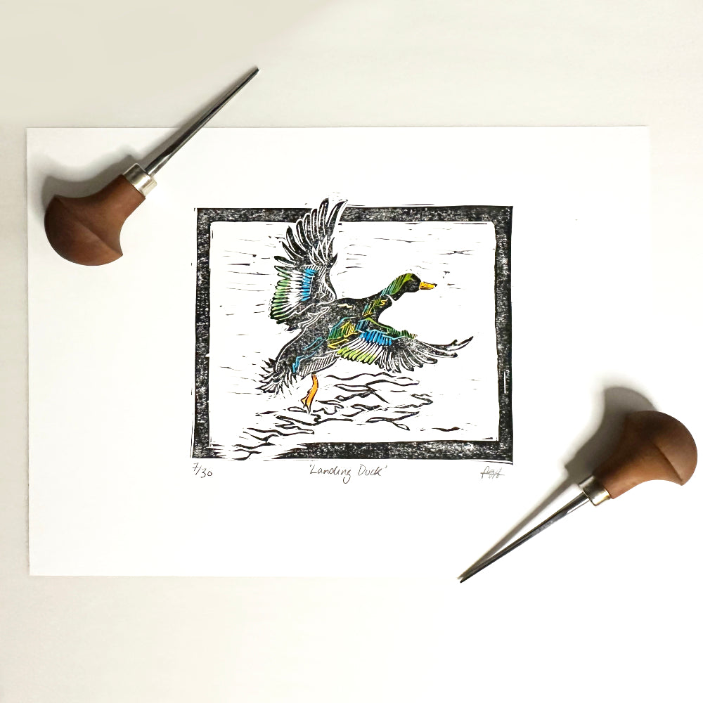 Landing Duck | A4 Linoprint with Watercolour detail